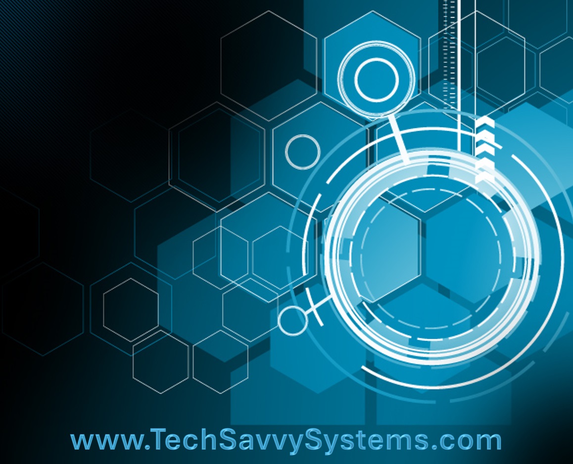 Techsavvysystems logo