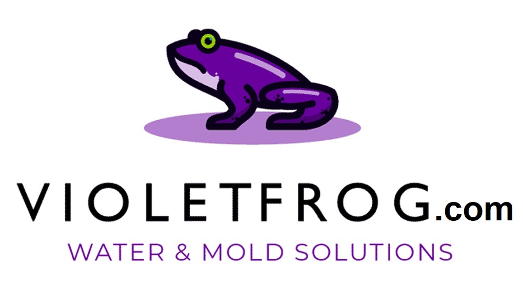 Violet frog master logo